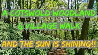 A Cotswolds Woodland & Village Walk In The Spring Sunshine -Stunning Views! #cotswolds