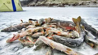 РВУТСЯ ЛЕСКИ, ГНУТСЯ БАГРЫ, ЖЕРЛИЦЫ СТРЕЛЯЮТ! ПЕРВЫЙ ЛЁД ЯКИТИИ день 4