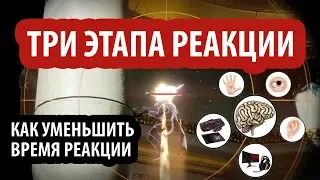 Скорость реакции и аима в шутерах! Как улучшить реакцию и аим!