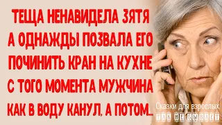 Теща ненавидела зятя. А однажды прозвала его починить кран, после чего он бесследно исчез...