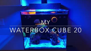 Waterbox Cube 20 6 Month Update