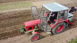 Zetor 5511 | Sázení brambor | Agrozet SA2-074