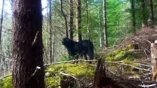 Best Bigfoot Gifting Activity Yet! with Barb & Gabby