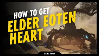 How To Get Elder Eoten Heart - Nightingale