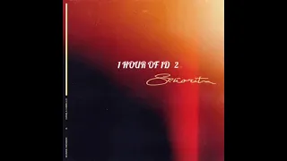 Shawn Mendes, Camila Cabello - Señorita 1 hour