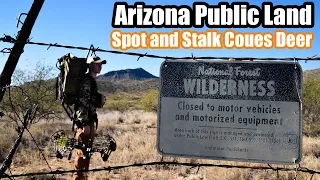 Arizona Public Land Spot and Stalk Coues Deer Hunt January 2020