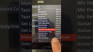 Korg PA5X: How to remove vocal from mp3 file for Korg PA5X. #korgpa5x #mp3 #vocal #remove