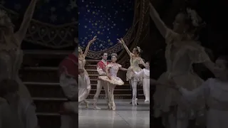 加拿大《胡桃夾子》芭蕾舞劇 一年一度聖誕必睇