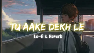Tu Aake Dekh Le | Lo-fi Reverb Song | Official Song | SuperHit Lofi Songs