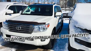 Когда закончатся Крузаки в продаже?