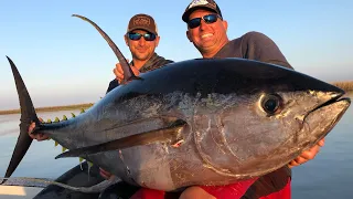 Massive Yellowfin Tuna Vs Big Blackfin Tuna {Catch Clean Cook} blind Taste test!