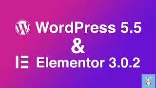 Обзор  WordPress 5.5 и Elementor 3.0.2