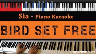 Sia - Bird Set Free - HIGHER Key (Piano Karaoke / Sing Along)