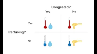 Assessing perfusion and congestion status in HF patients