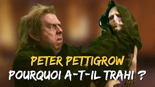 PETER PETTIGROW / HARRY POTTER - L'Analyse de Personnage