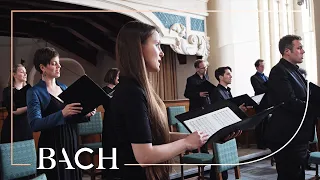Bach - Cantata Ich elender Mensch, wer wird mich erlösen BWV 48 - Sato | Netherlands Bach Society