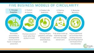 Driving the Circular Economy Through Public Procurement