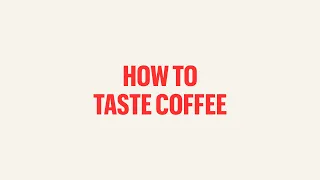 Coffee For Everyone: How To Taste Coffee