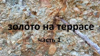 Золото на террасе (часть1) Зона коллектора.  Gold Prospecting  gold-fever