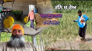 Farming in Punjab/ ਗੰਨੇ ਚ ਰੇਅ ਦਾ ਕੰਮ ਪੂਰਾ /#punjab #farming #mahlanradio