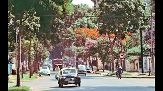 Màu Hồng Chủ Nhật - Connie Kim (Saigon Pre - 1975)