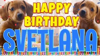 Happy Birthday Svetlana! ( Funny Talking Dogs ) What Is Free On My Birthday