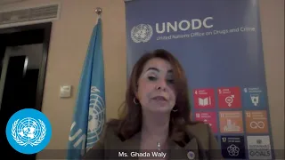 West Africa & the Sahel  - Linkages between Organized Crime & Terrorism Major Obstacles to Peace