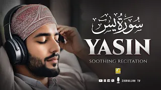 Peaceful Quran Recitation of Surah Yasin (Yaseen) سورة يس | Trending Quran | Zikrullah TV