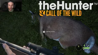 We go Hunting in " The Hunter Call Of The Wild"