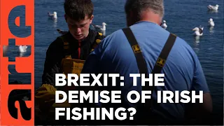Irish Fishing in Peril | ARTE.tv Documentary