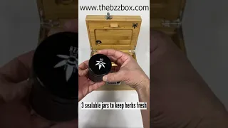 Large Bzz Box Features - Video