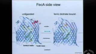 Structural Biology: Achievements and Challenges