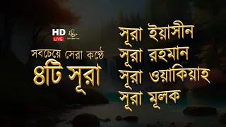 সব চেয়ে সেরা কুরআন তিলাওয়াত ২০২৪ - সূরা ইয়াসিন | সূরা আর রহমান |  সূরা ওয়াকিয়া | সূরা মূলক