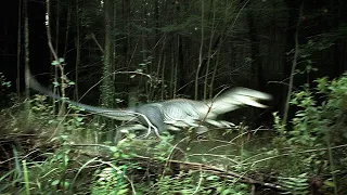 10 People Who Thought They Captured a Dinosaur