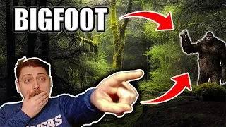 There's Something About A Big Foot (Sasquatch Deep Dive)