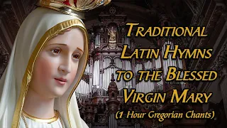 Gregorian Chants to the Virgin Mary |  Traditional Latin Hymns to Mary ft. @CanalArautosdoEvangelho