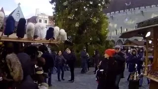 26.12.15 Старый Таллин (ратуша-ёлка) -  Old Tallinn ( Town Hall - tree )