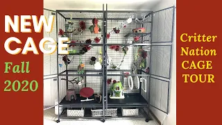 New Cage Upgrade Tour | Double Triple Critter Nation | Sugar Glider Cage