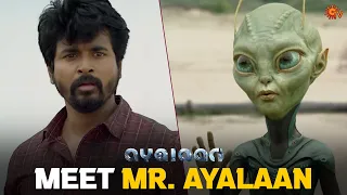 The Mysterious Tattoo 👽 | Ayalaan | Sivakarthikeyan | Rakul Preet Singh | Yogi Babu | Sun TV