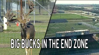 Football & Deer Farming at Brown Trophy Whitetail Ranch | Deer and Wildlife Stories