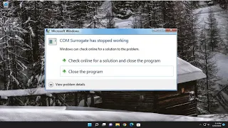 COM Surrogate Has Stopped Working in Windows 11/10 FIX [Tutorial]