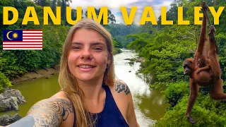 3 DAYS in 130 million-year-old JUNGLE IN BORNEO! (DANUM VALLEY PART 1)