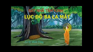 Lục Độ Ba La Mật  (PLAYLIST bấm Com #1)