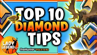 Top 10 Tips for Finding DIAMONDS For New Players (and Seasoned)! - Call of the Wild