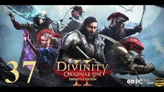 Divinity: Original Sin 2 - Definitive Edition | PC | Español | Cp.37 "La Casa de la Bruja"