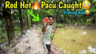 Fishing in Village Pond Update🔥❤️ | Fishing in rainy day in Assam💚 | Fishing Channel