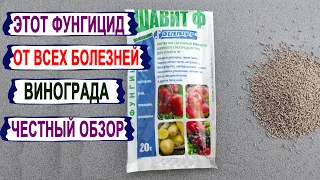 🍇 Вот что будет, если опрыскать виноград ЭТИМ препаратом. Честный обзор фунгицида Шавит Ф. 5 дней