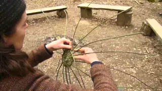 Weave a Bramble Basket