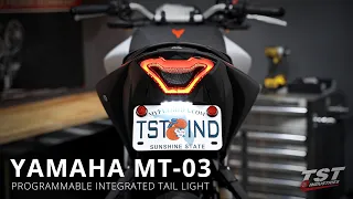 How to install a Programmable Integrated Tail Light on a 2020 Yamaha MT-03 by TST Industries