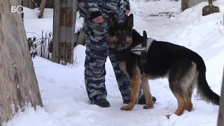 В Казани орудовала банда похитителей людей